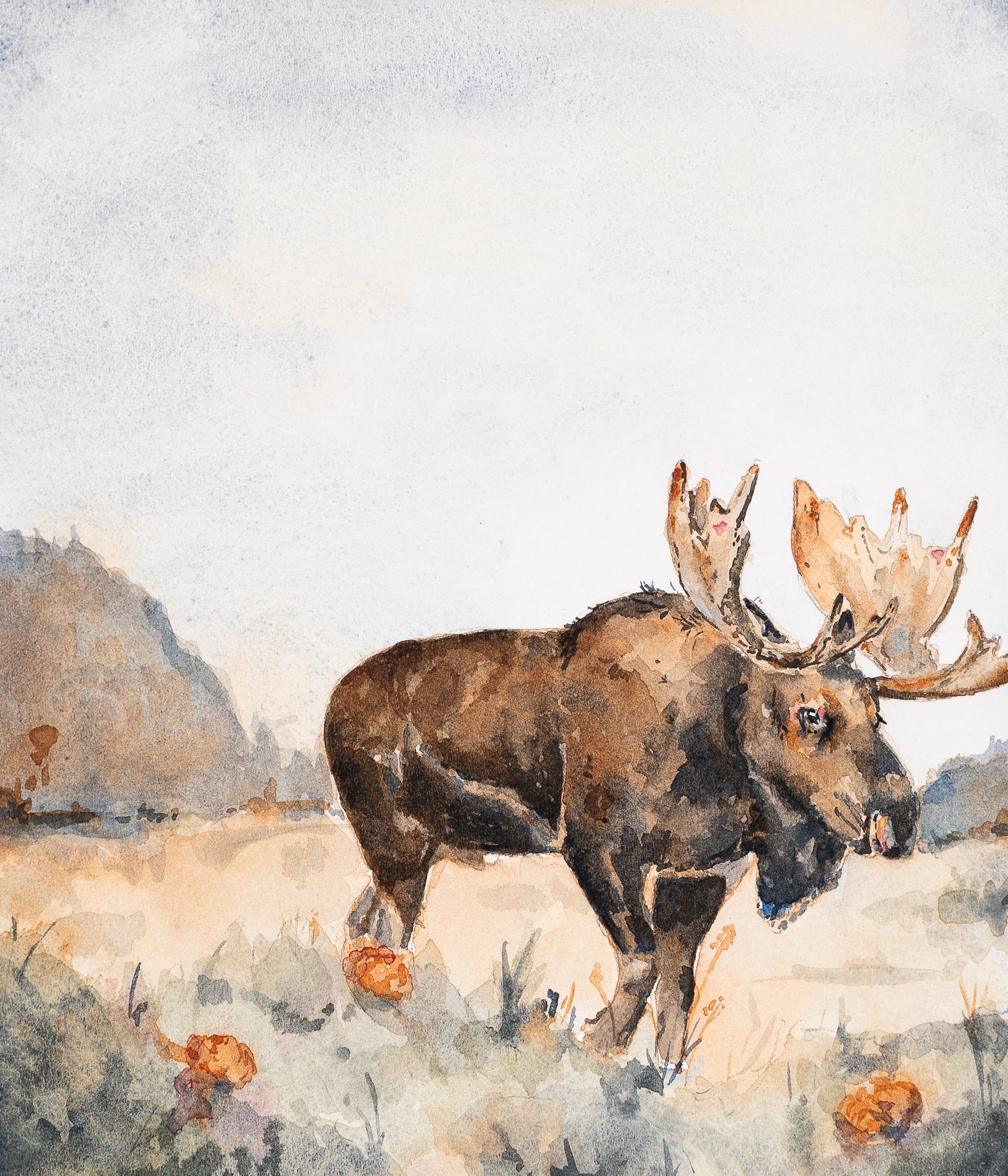 Wildlife Series #1 Originals