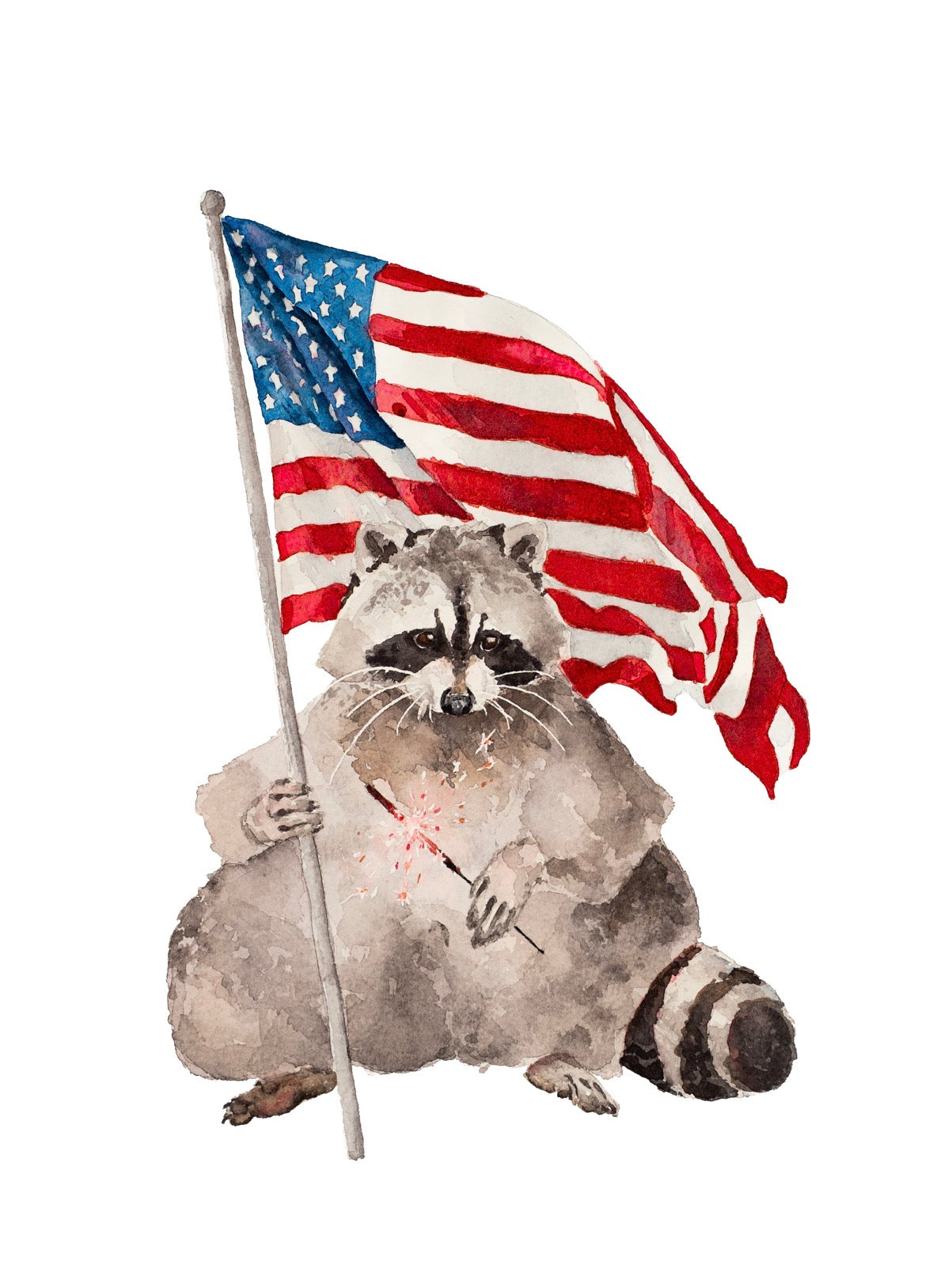 Patriotic Raccoon Limited Edition Print