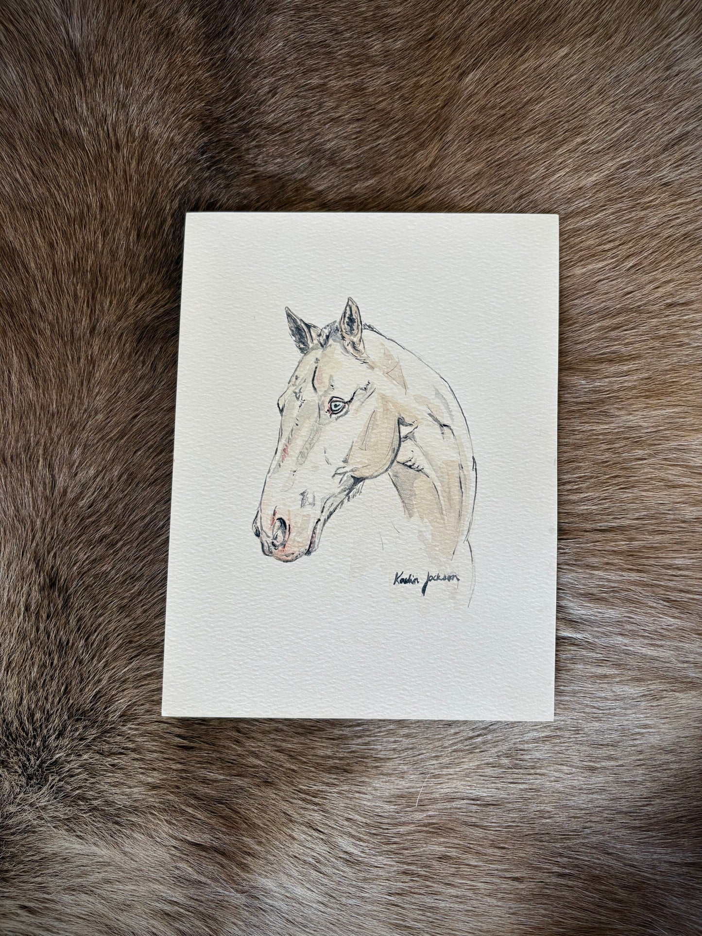 Horse 6x8”
