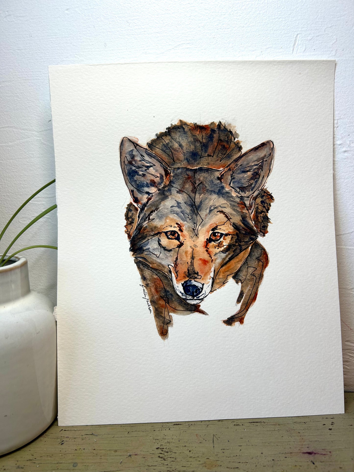 Coyote 8x10" Original