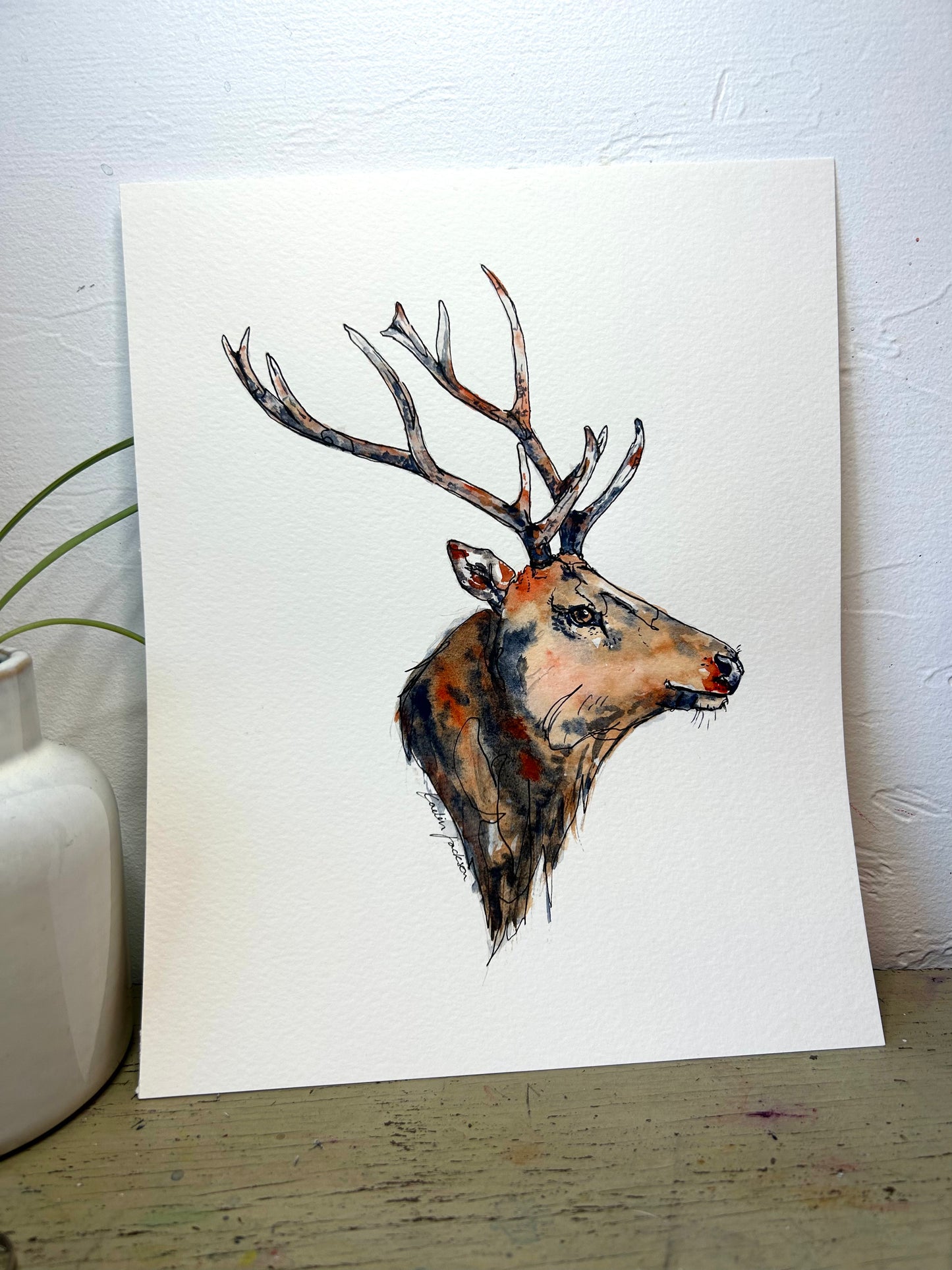 Elk 8x10" Original