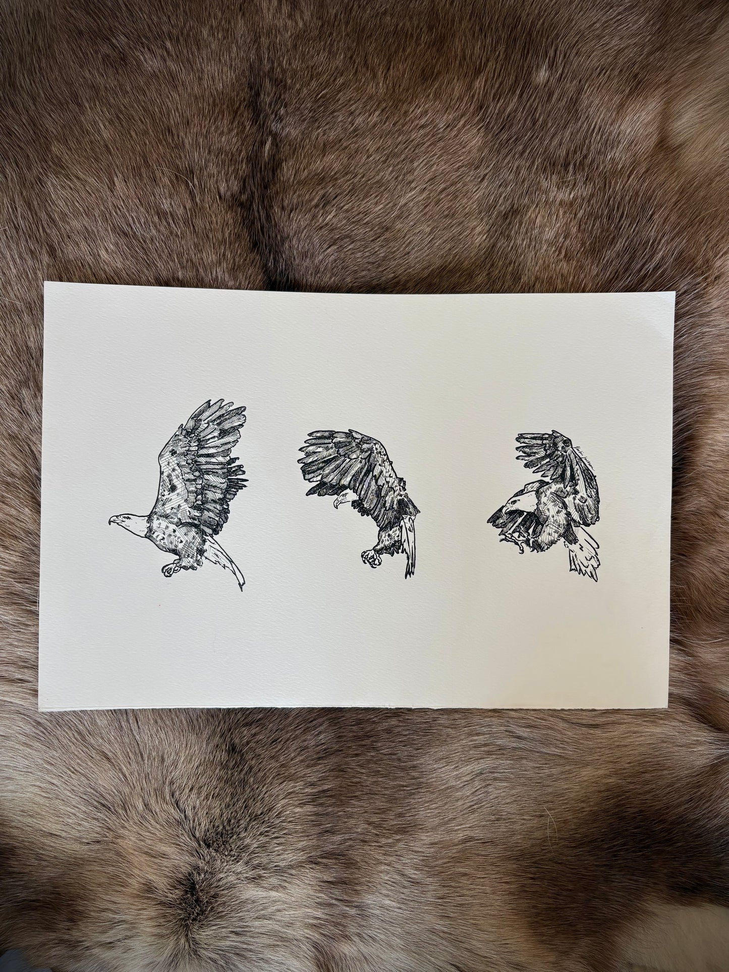 Eagles 12x18”