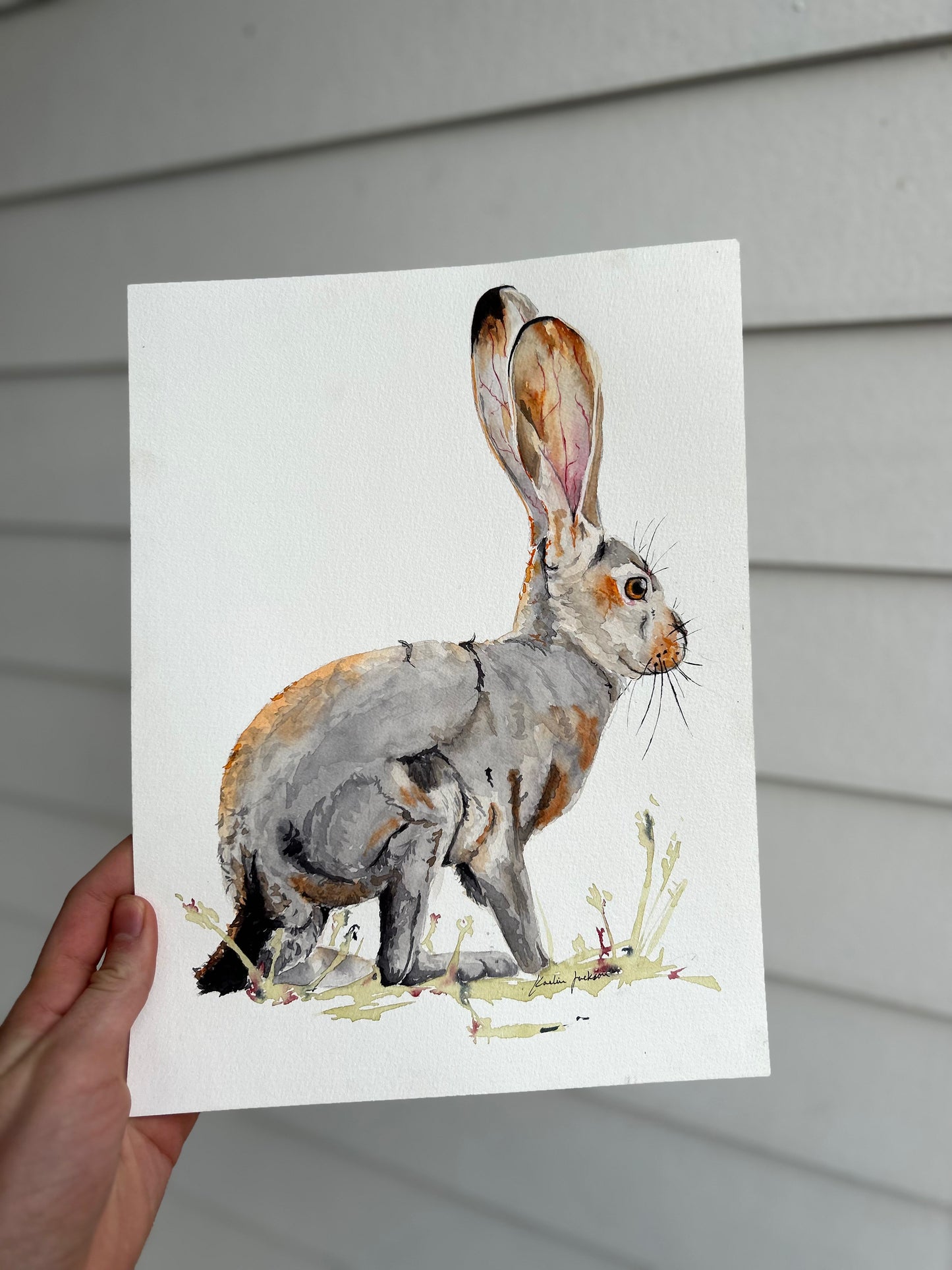 Sunset Hare Original 9x12"