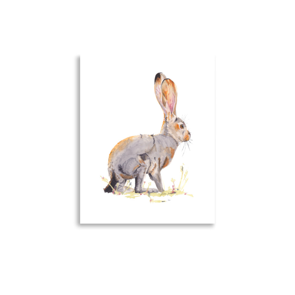 Sunset Hare Giclée Print