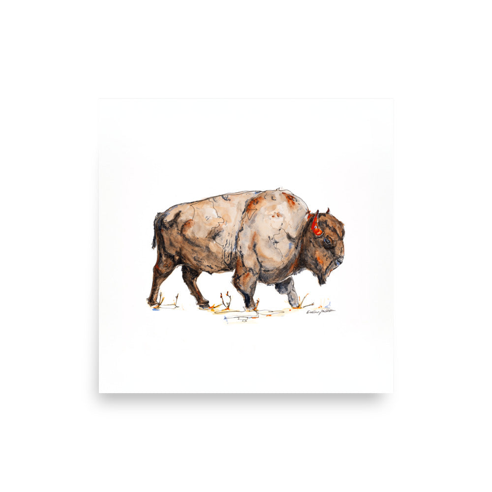 Bison Giclée Print