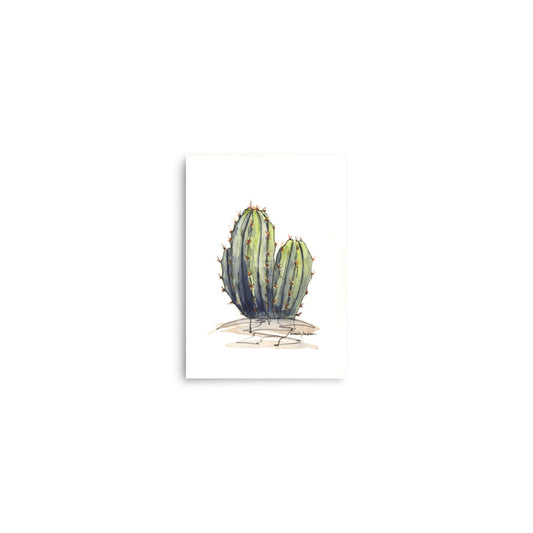 Cactus 1 Giclée Print