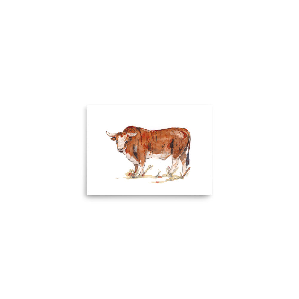 Bull Giclée Print