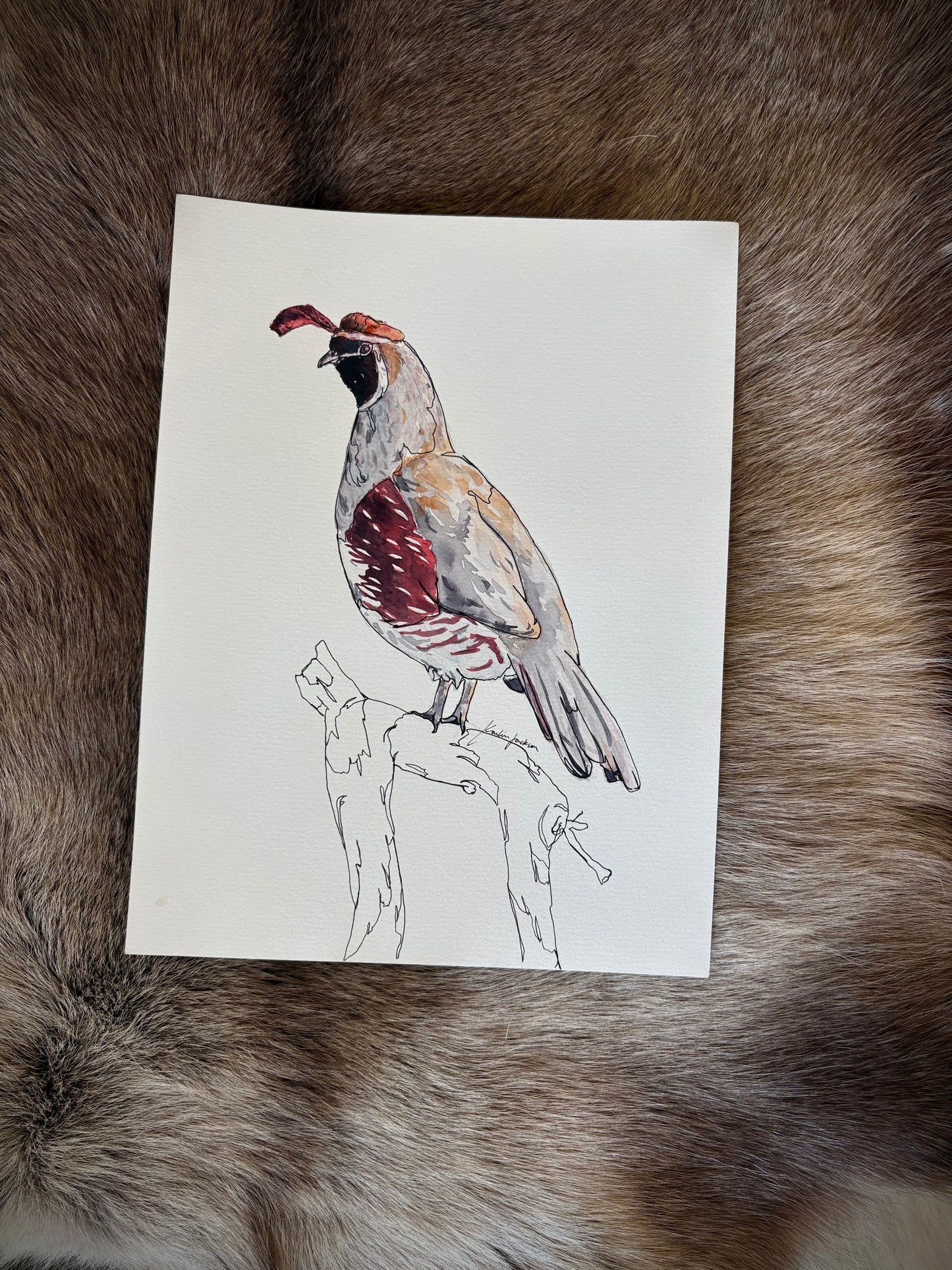 Quail 9x12”
