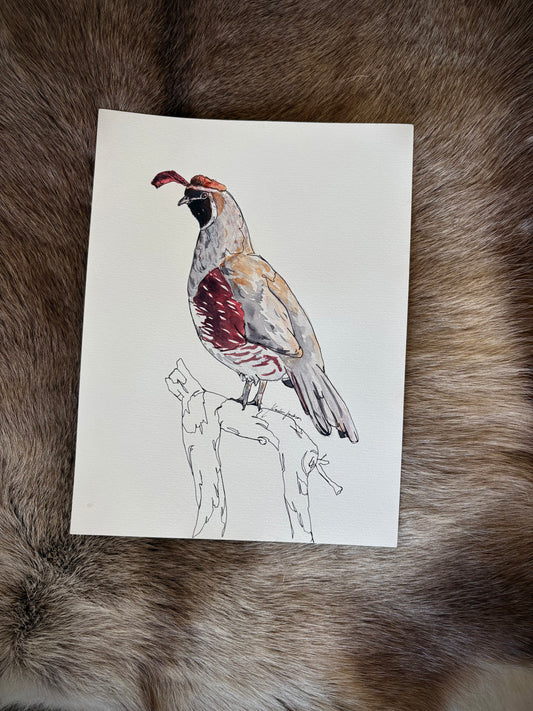 Quail 9x12”