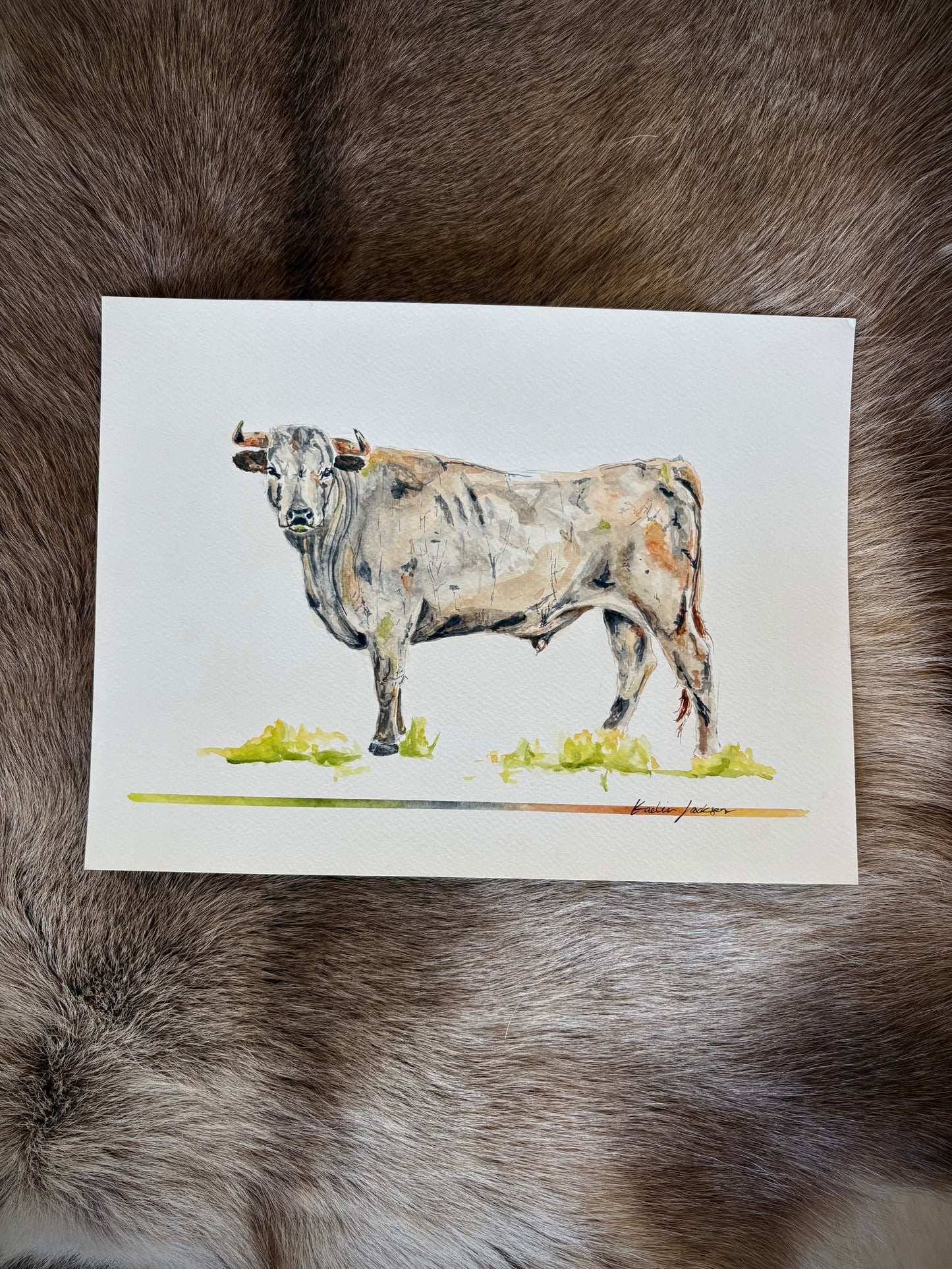 Bull 9x12”
