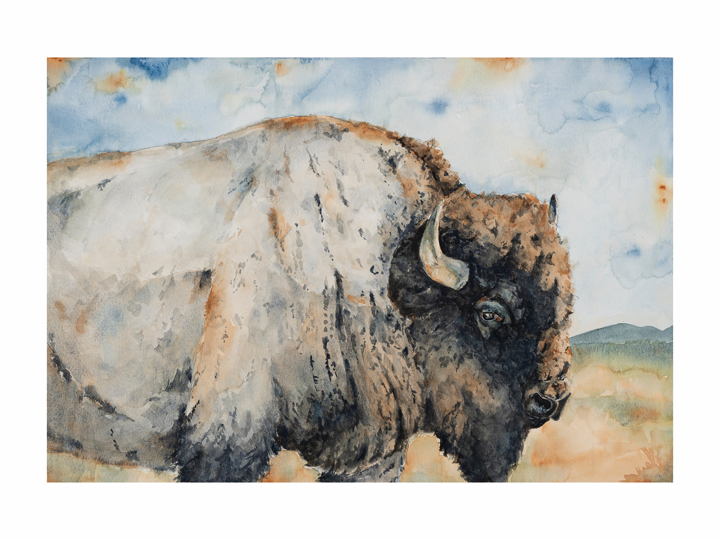 “Blue Bison,” Limited Edition Print