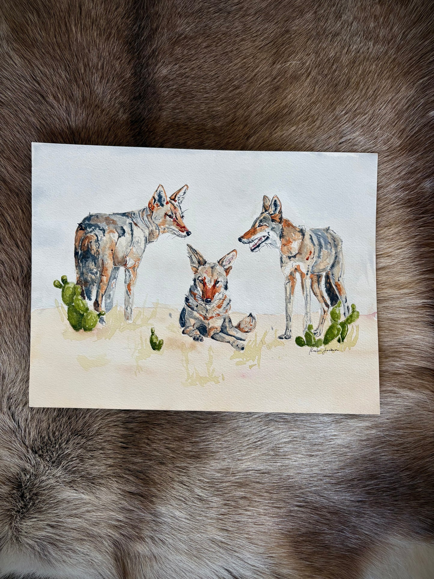 Coyote Queen 9x12”