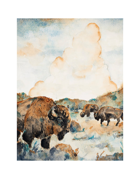 Bison Print