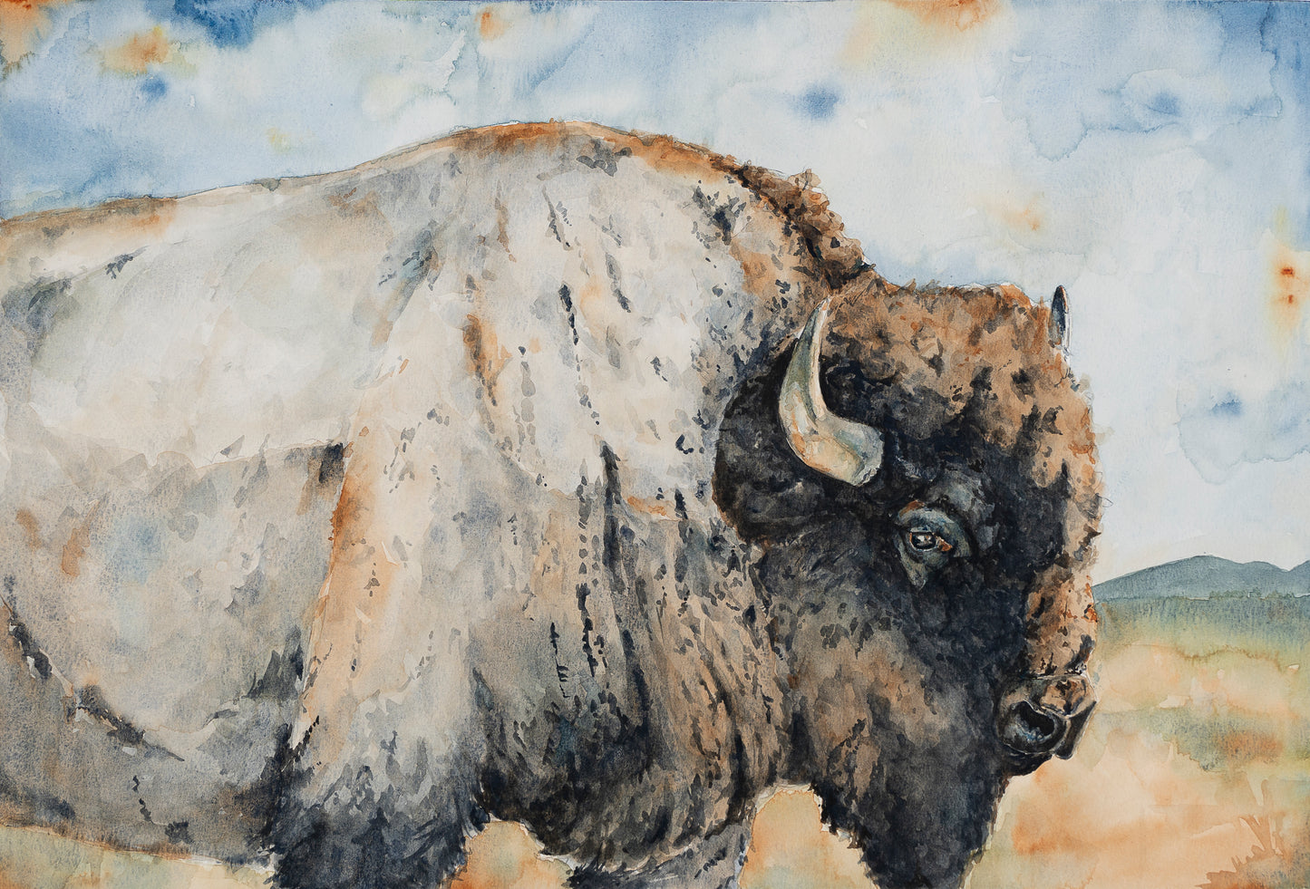 “Blue Bison,” Limited Edition Print