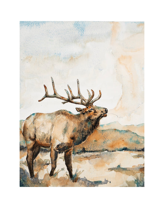 Elk Print Preorder