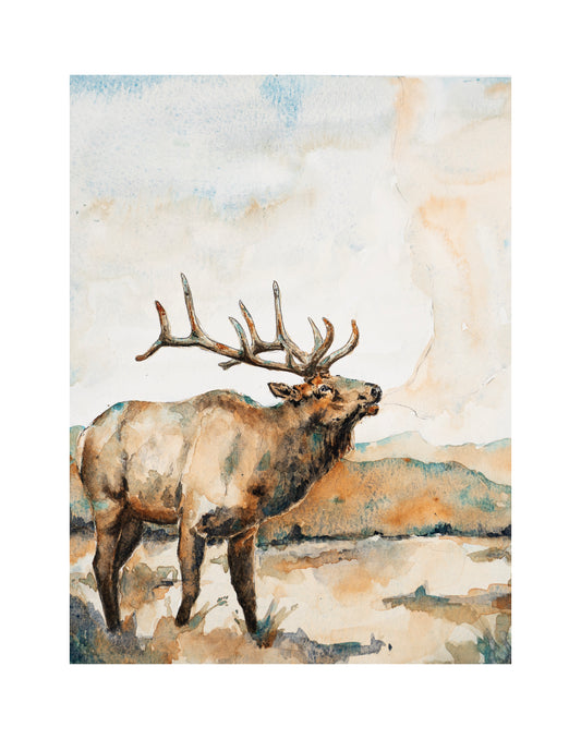 Elk Print