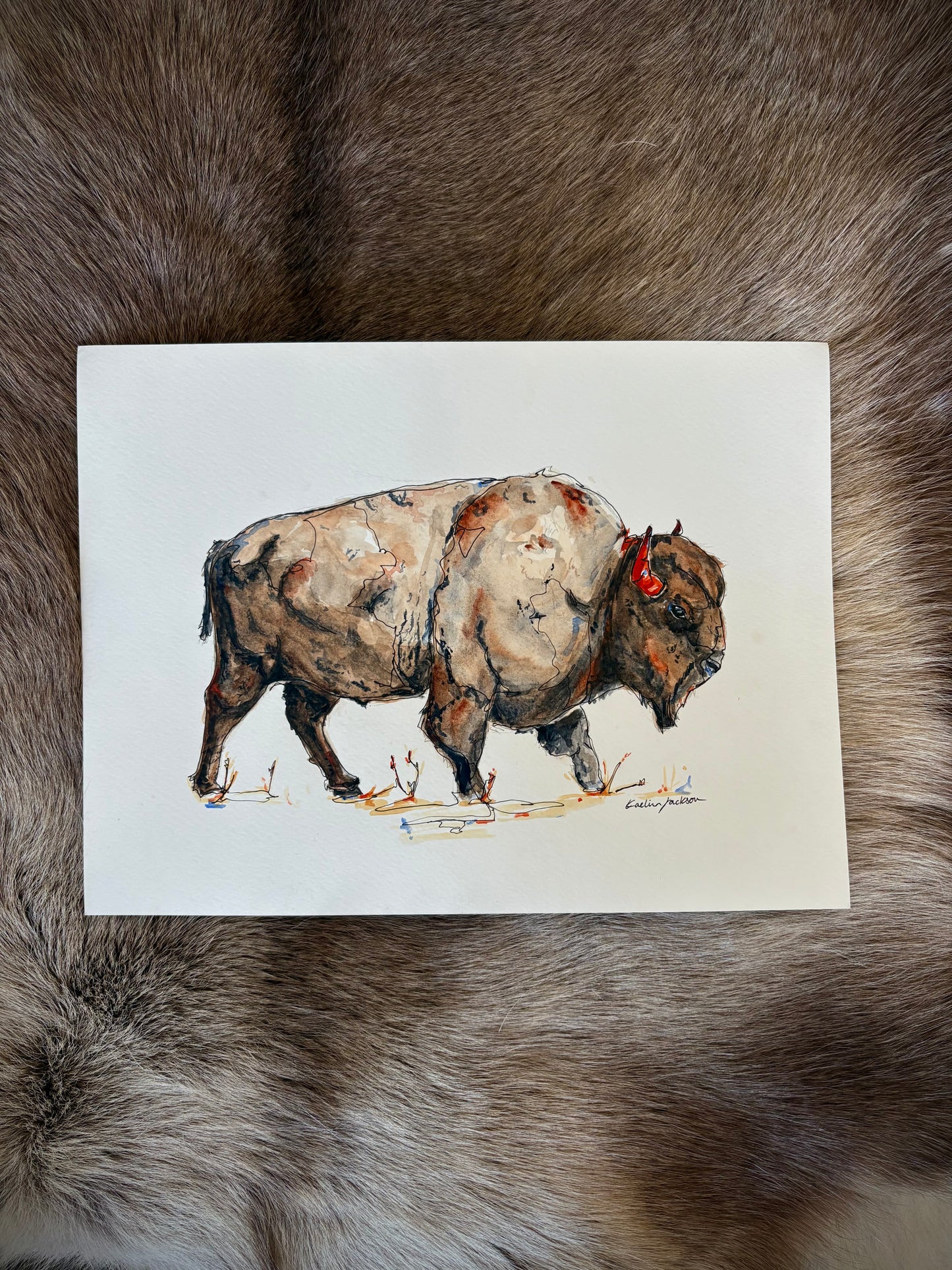 Bison 9x12”