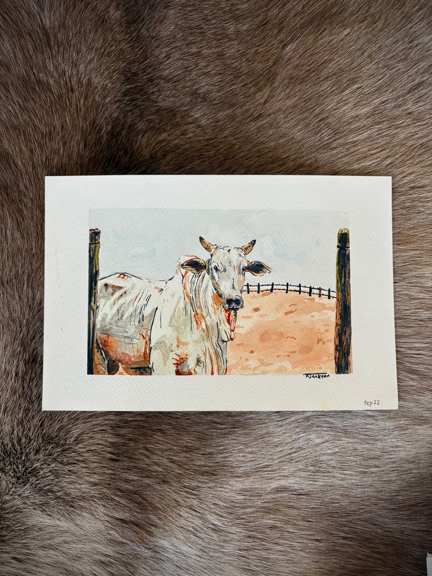 Grey Bull 6x9”