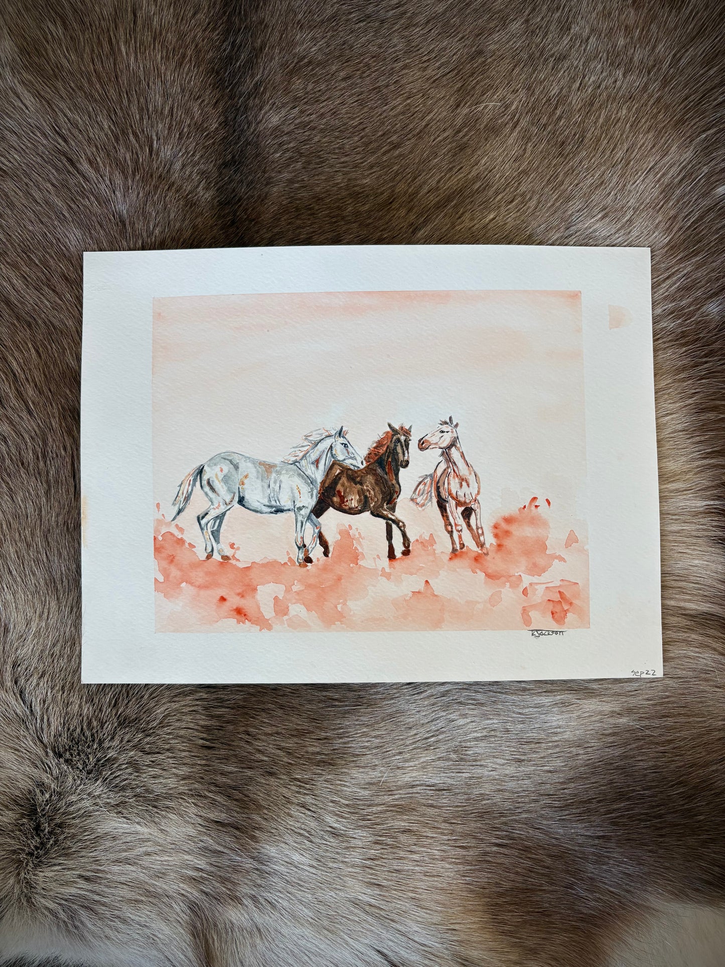 Stampede 9x12”
