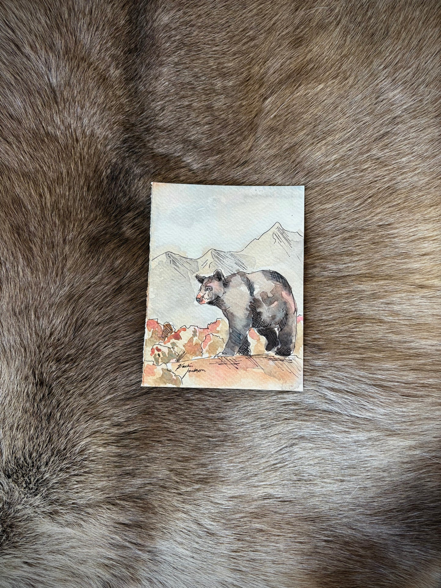 Bear 4.5x6”