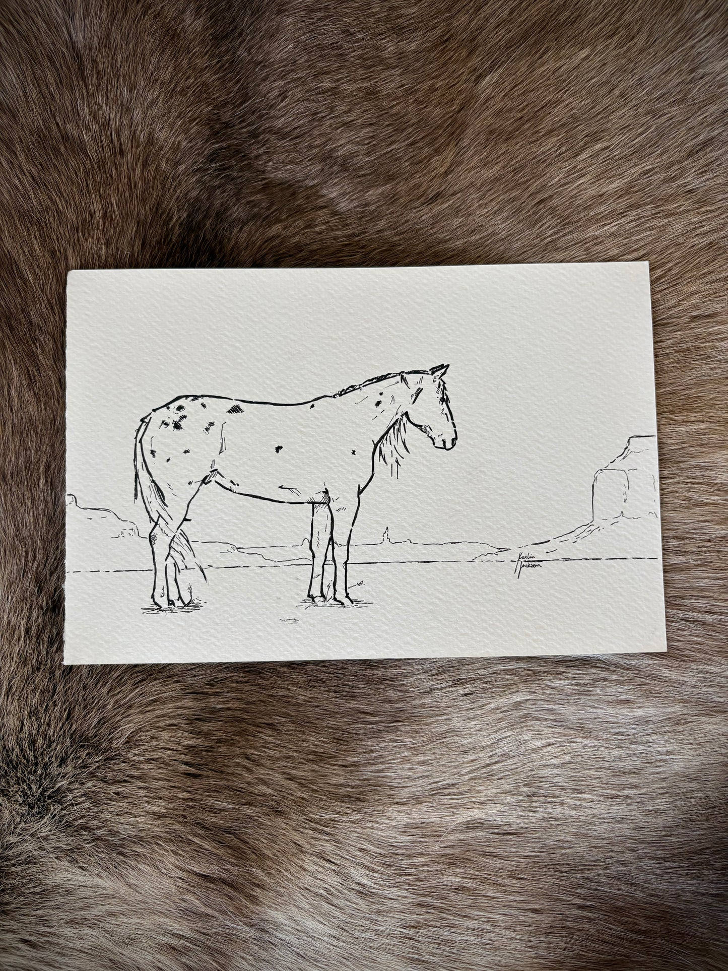 Mustang 6x9”