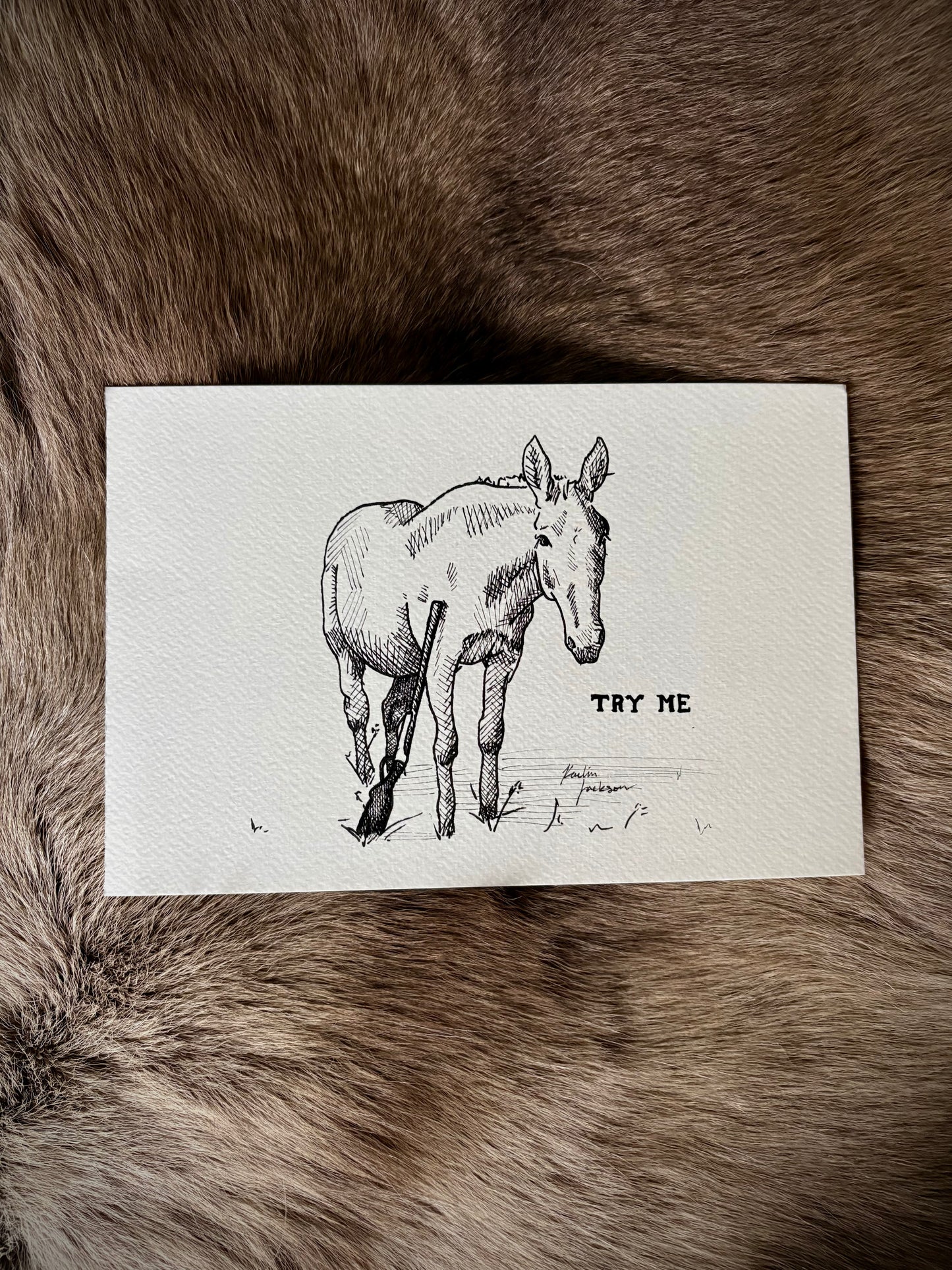 “Try Me,” 6x9”