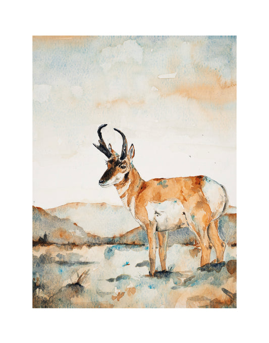 Pronghorn Print