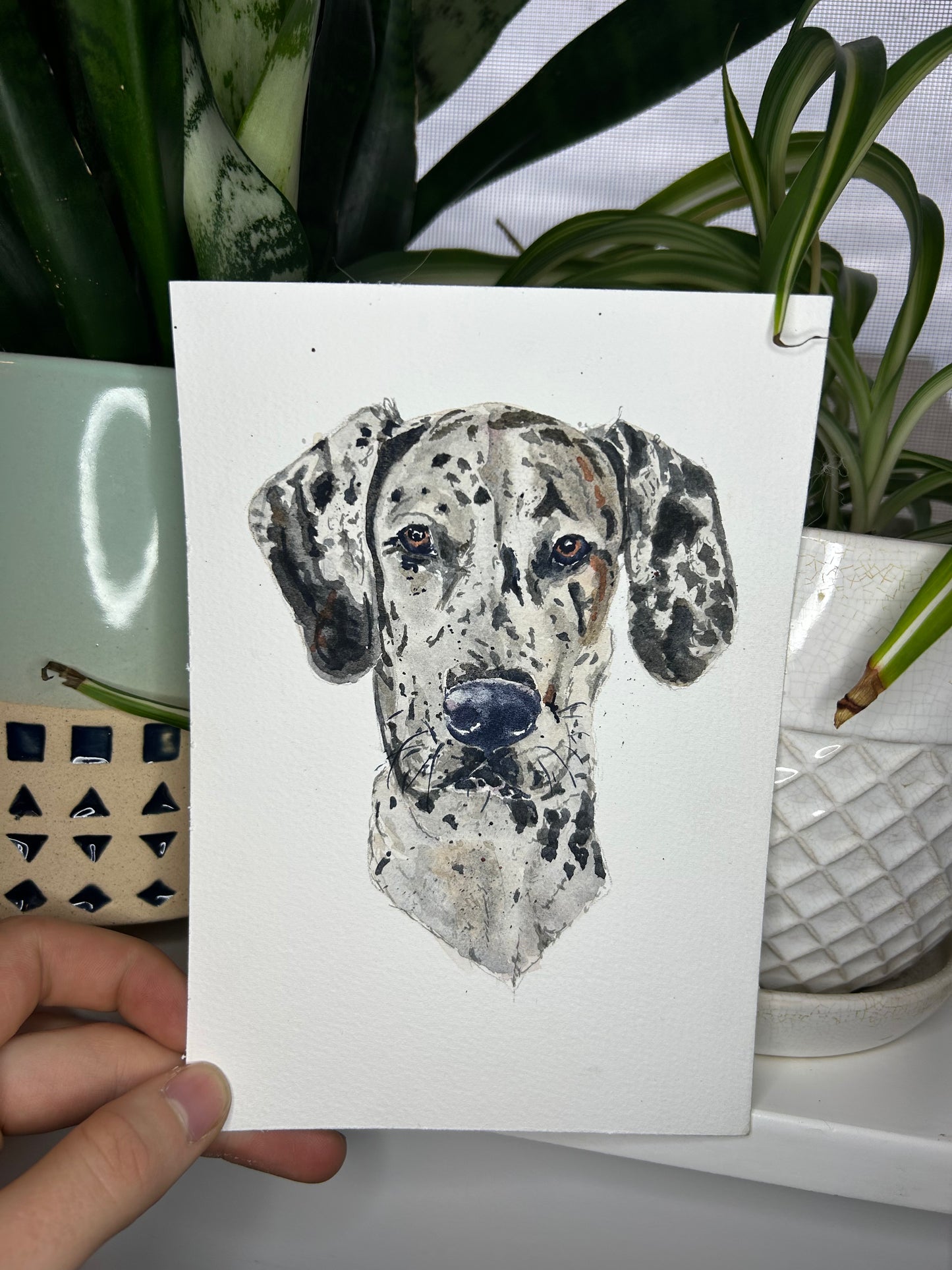 Custom Watercolor Animal Portrait